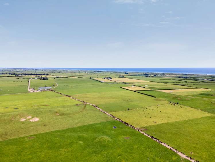 266 Pungarehu Road Pungarehu_13