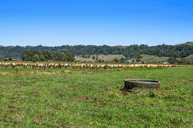 120 Otakiri Soldiers Road Otakiri_12
