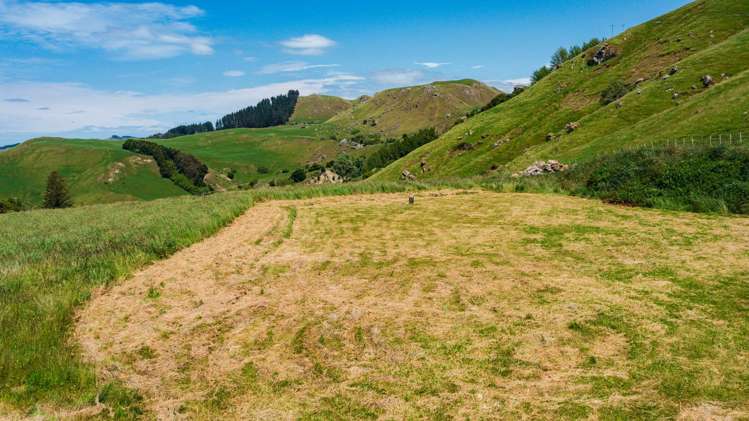 LOT 1 Waimarama Road_4
