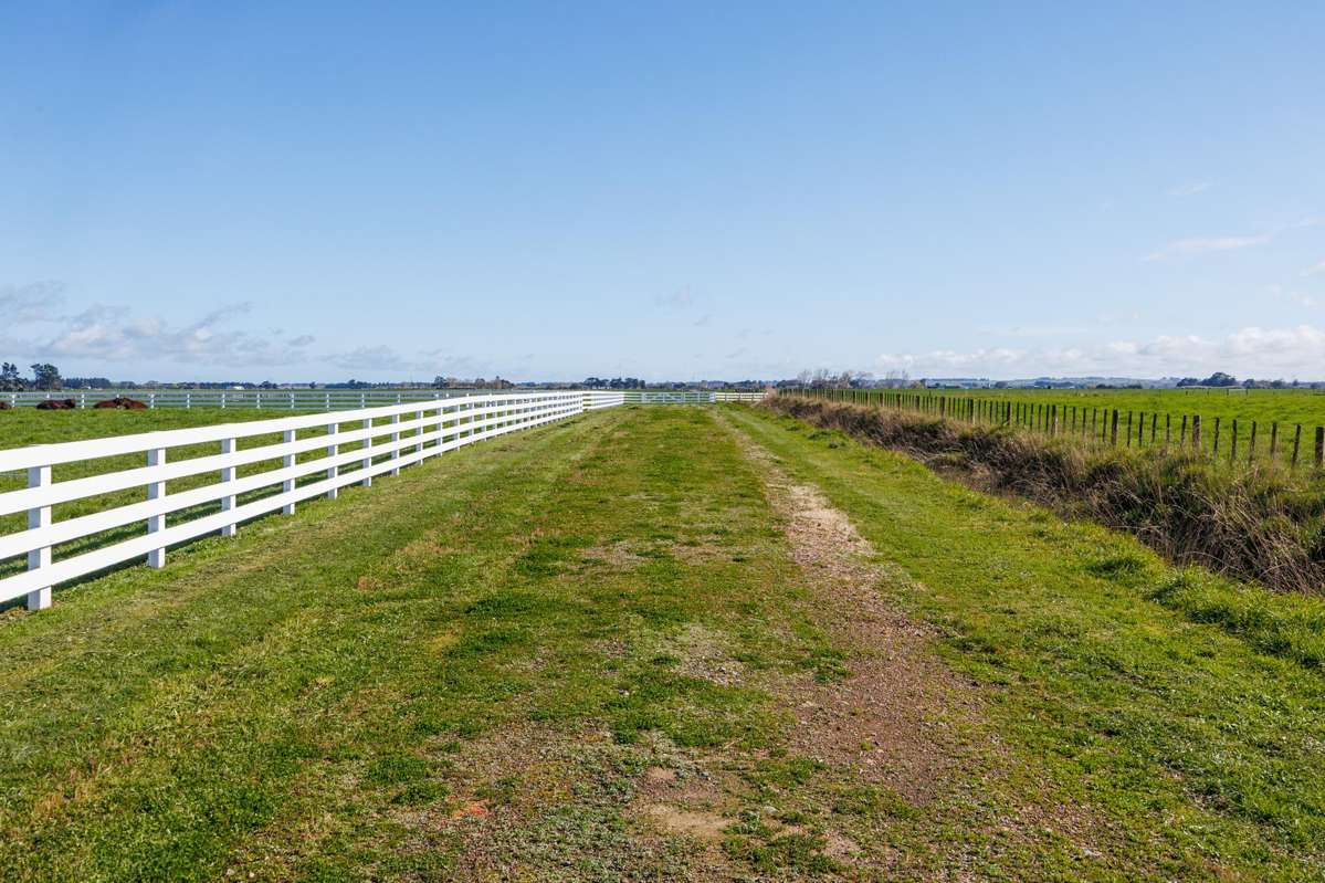 Lot Lot 1 and 2/964 Kairanga Bunnythorpe Road_4