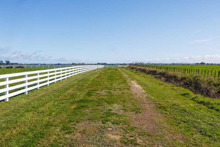 Lot Lot 1 and 2/964 Kairanga Bunnythorpe Road Kairanga_8
