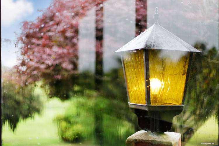 588 Linwood Road Karaka_21