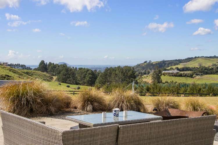 349A Whakamarama Road Whakamarama_17