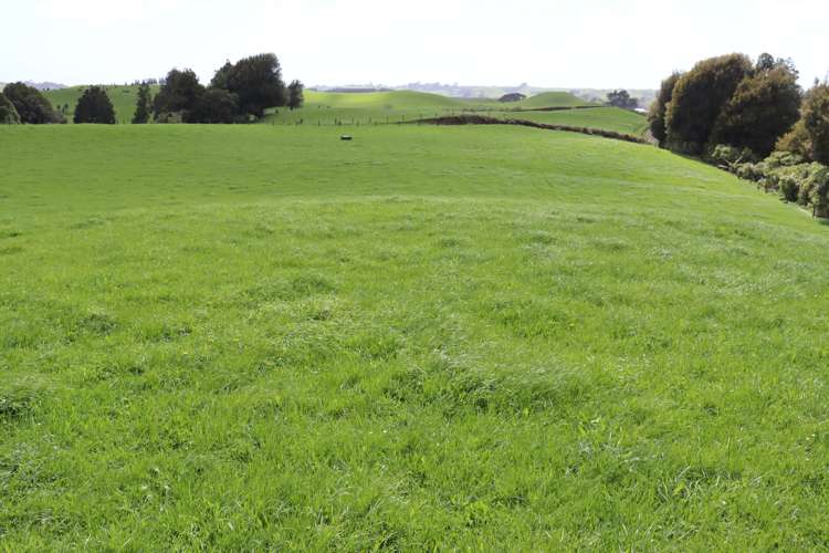 828 Hursthouse Road Inglewood_13