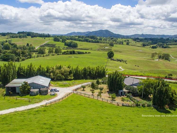 450a Settlement Road Kaiwaka_14