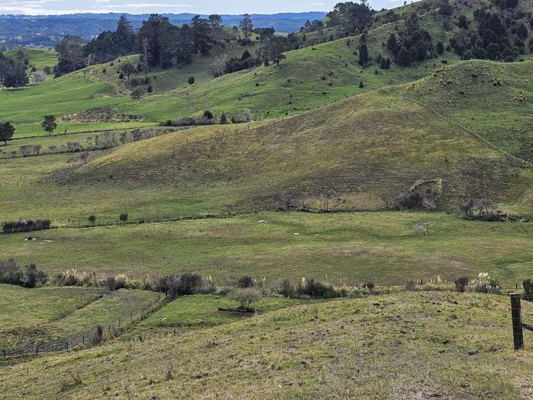 113C Marua Road Hikurangi_27