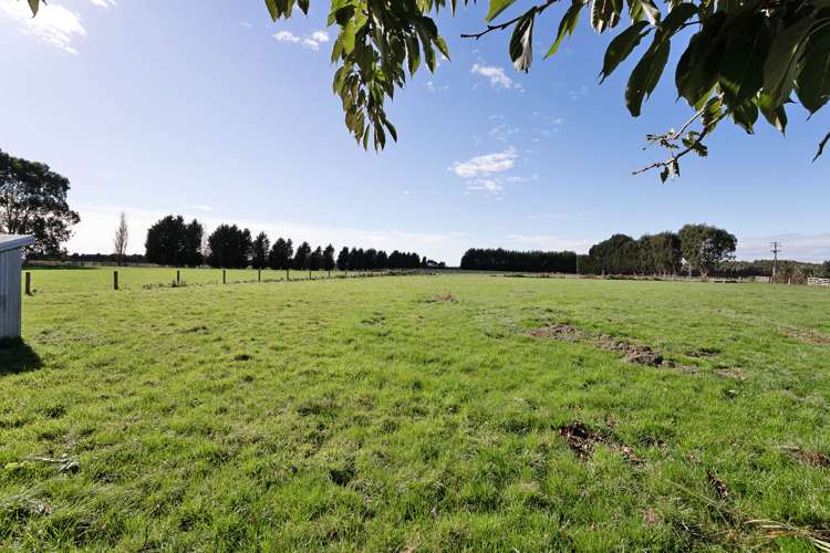 223 Roslyn Road Roslyn Bush_17