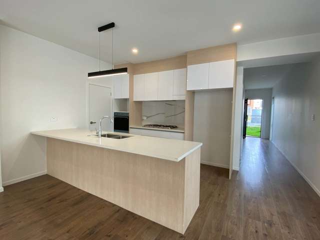 21 Hermitage Street Flat Bush_1