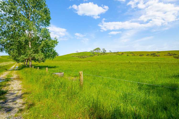 515 Kahikatea Flat Road Waitoki_6