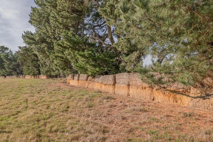 1611 Old West Coast Road West Melton_16