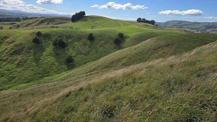 Millars Road Carterton_4