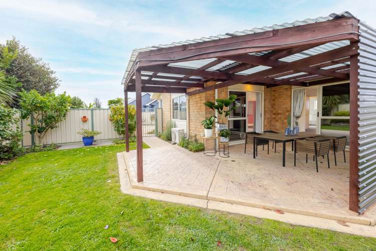 6A Moeller Street Taradale_11