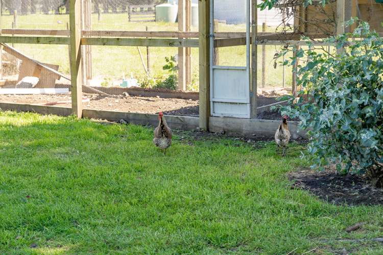 1273 State Highway 2 Tauwharenikau_16