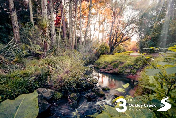 2b Cradock Street Avondale_28