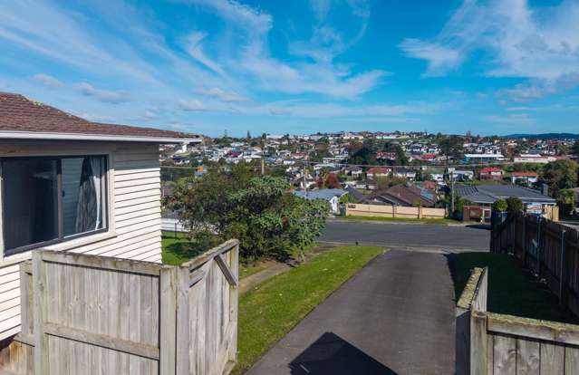 35 Ellis Avenue Mount Roskill_4