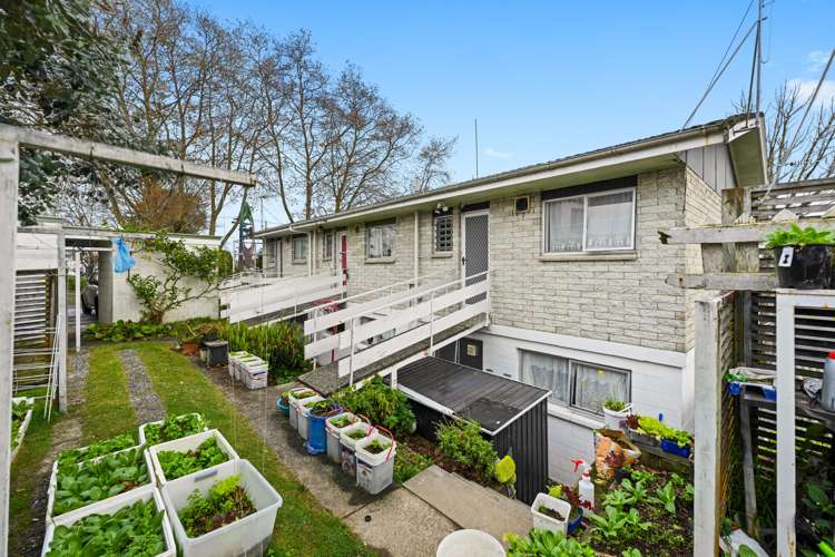 86A Macfarlane Street Hamilton East_15