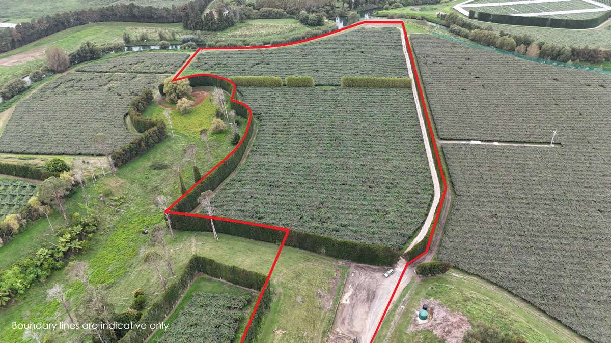 206 Casuarina Drive_0