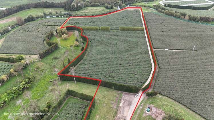 206 Casuarina Drive Te Puke_0