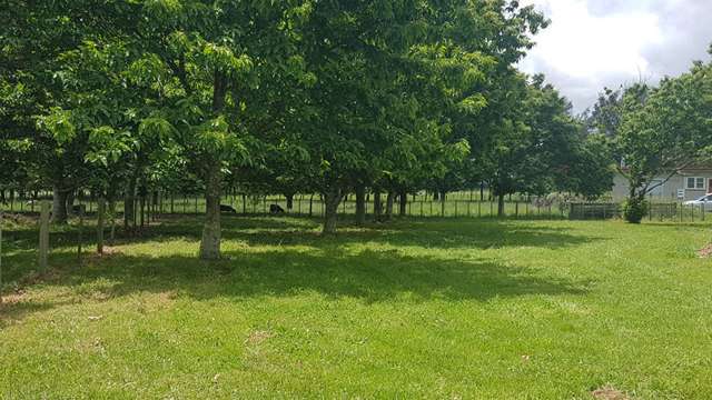 64 Garth Road Levin_1