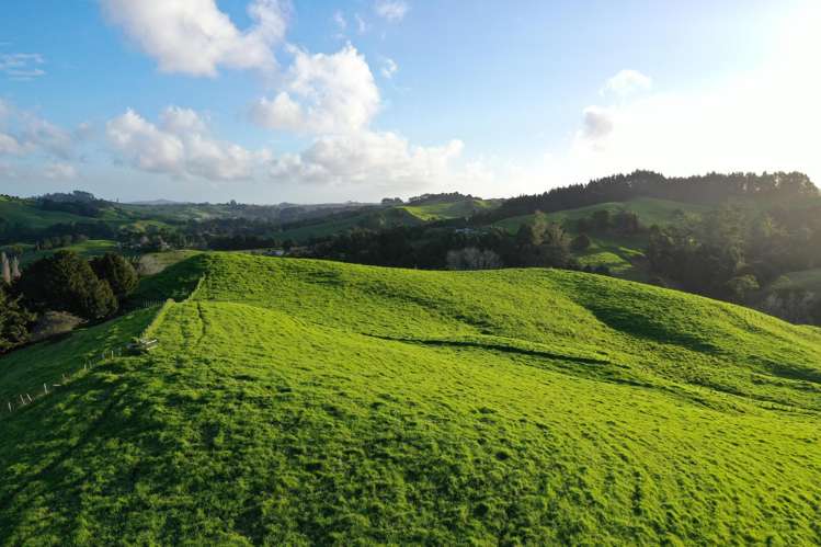 34 Wairere Valley Road Paparoa_10