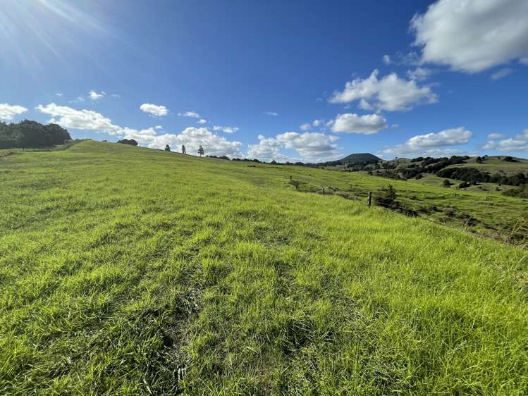 203 Otuhi Road Mangapai and Surrounds_17