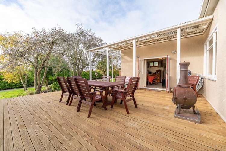 65 Springfield Road Totara_4