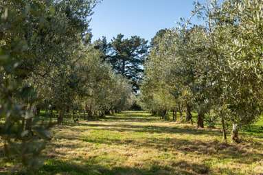 417 Upper Plain Road_1