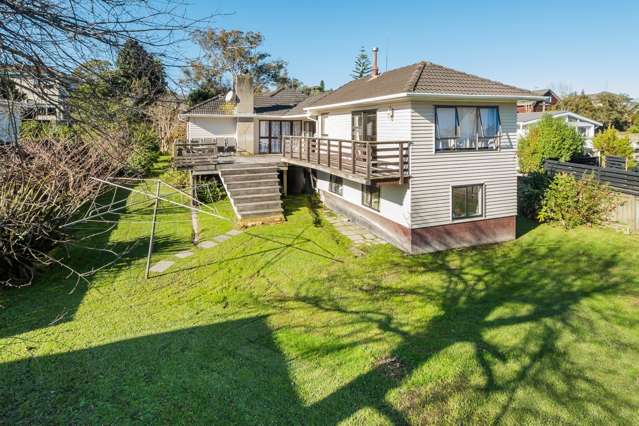 45 Selwyn Crescent Forrest Hill_4