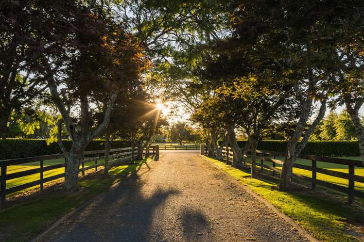 48 Peake Road Cambridge_6