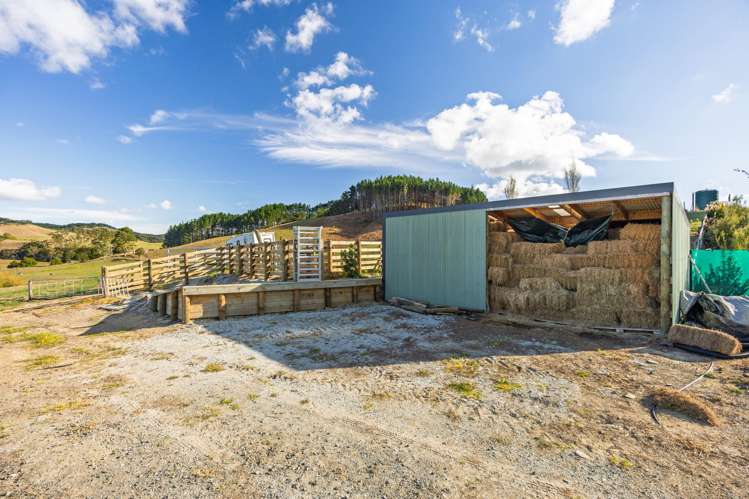 306 West Coast Road Warkworth_34