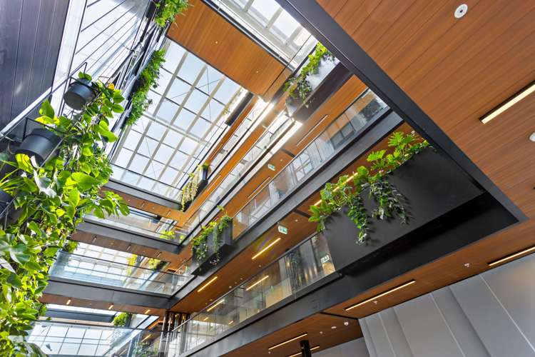 301/4 Bute Road Browns Bay_23