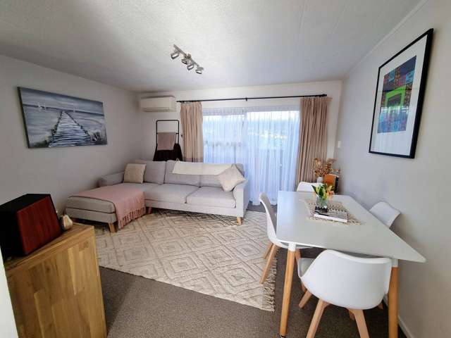 573 New North Road Kingsland_3