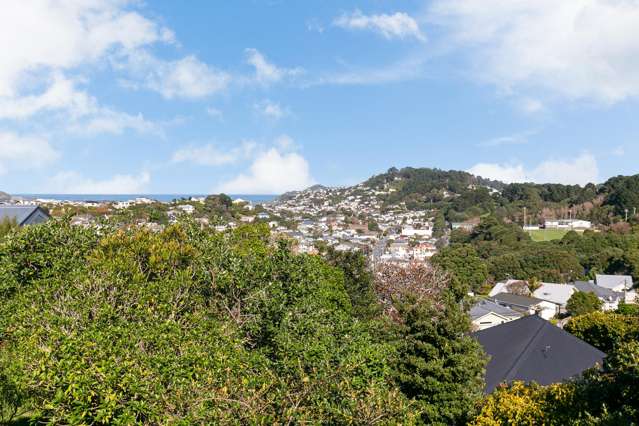 105 Rakau Road Hataitai_3