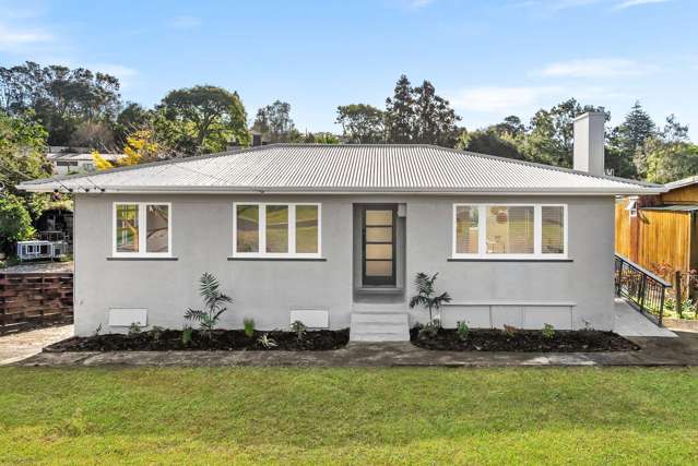 Shoestring Budget? The quarter acre kiwi dream!