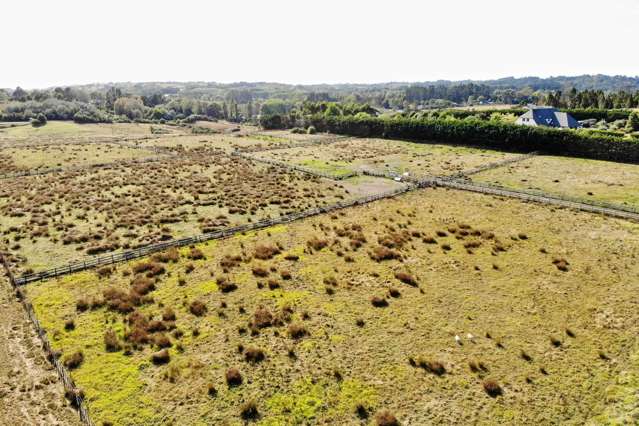 Lot4 Blackbridge Road Dairy Flat_4