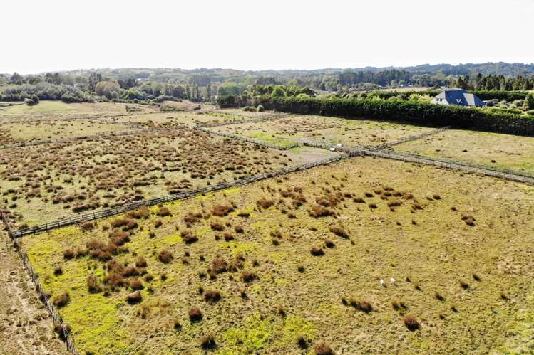 Lot4 Blackbridge Road Dairy Flat_4