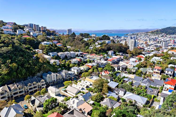 137 Aro Street Aro Valley_19