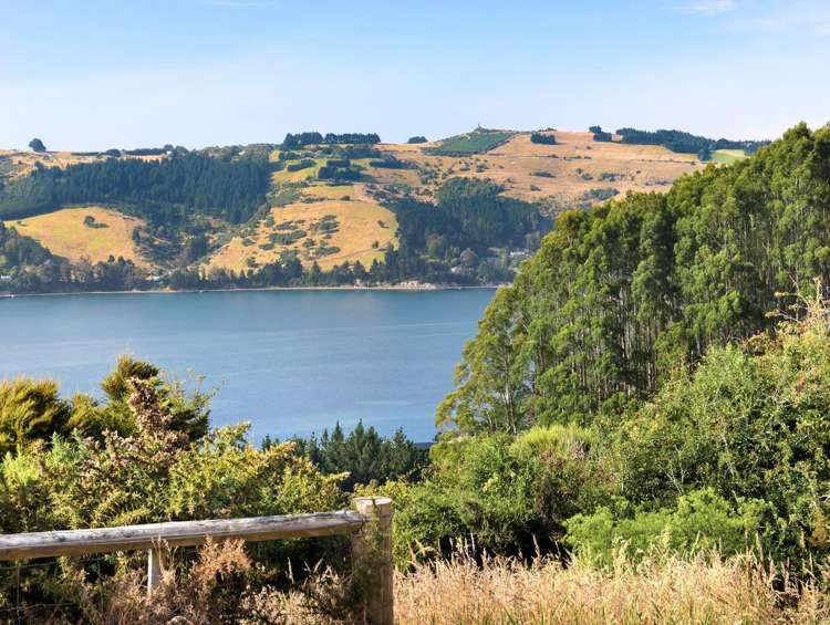 65 Kakapo Street Saint Leonards_13