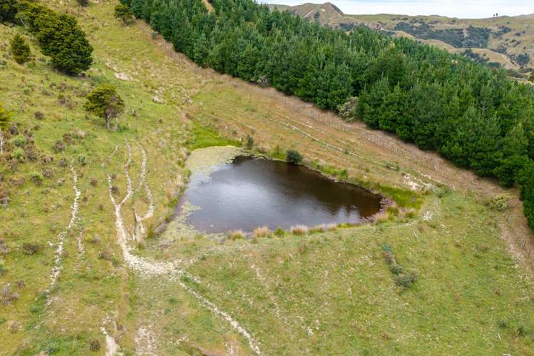 310 Branscombe Road Akitio_18