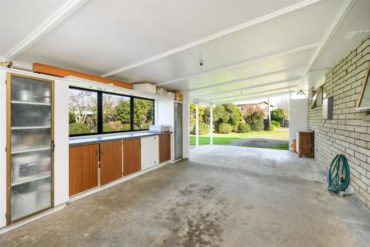 6 Flower Street Bulls_5