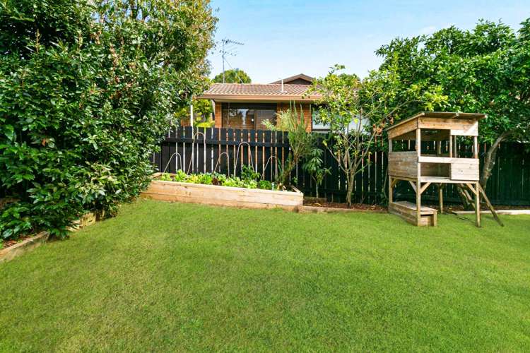 7a Carlton Street Hillsborough_12