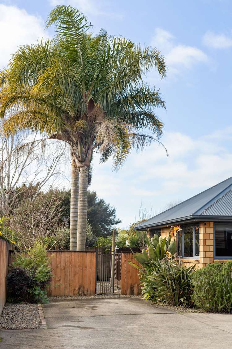1042a Heaphy Terrace Fairfield_18