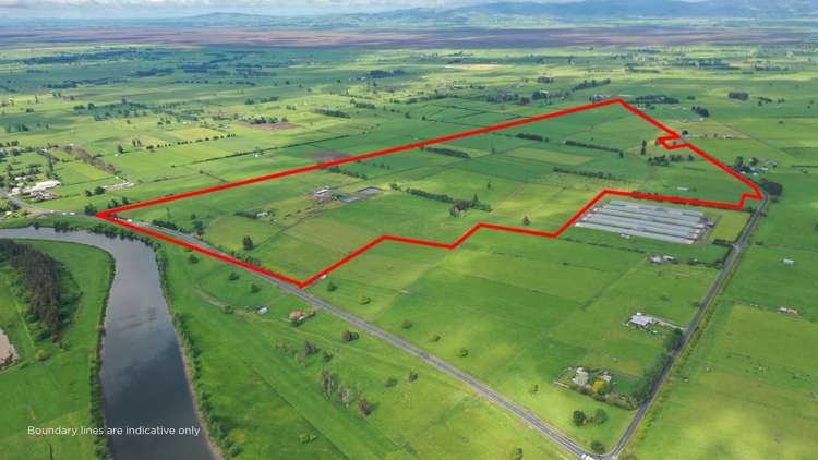 6292 State Highway 2 Paeroa_0