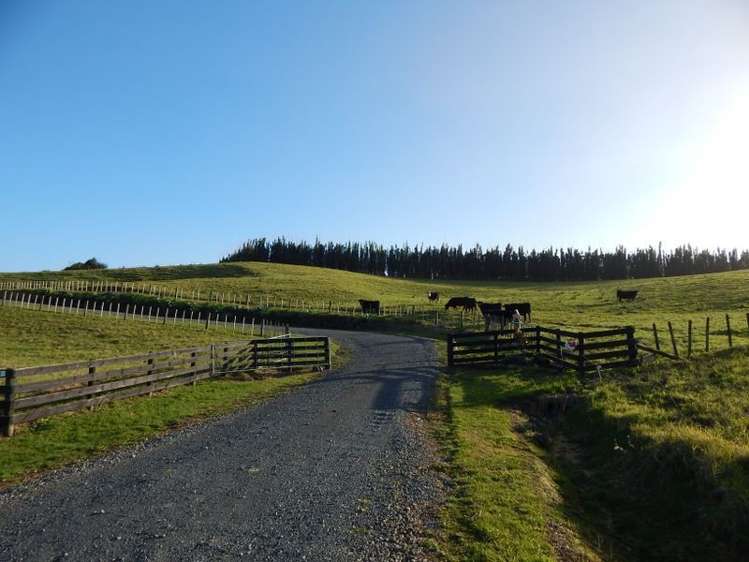 109 Te Kowhai Point Road Kerikeri_1