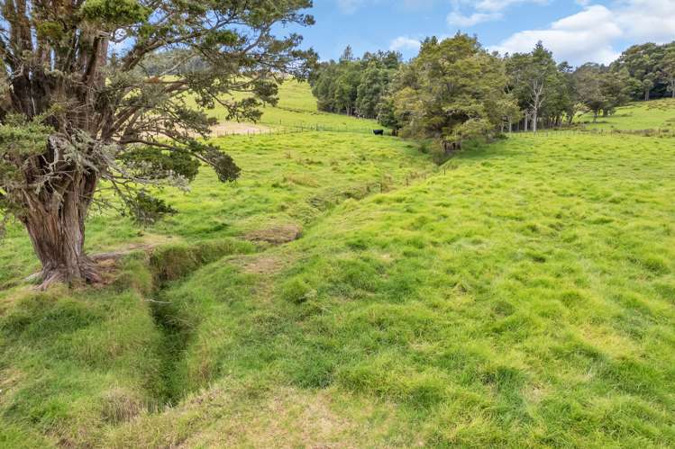 265 Taipuha Road Mangapai and Surrounds_16