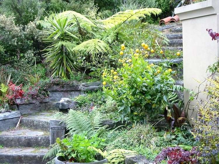 150 Pumpkin Hill Road Pumpkin Hill_17