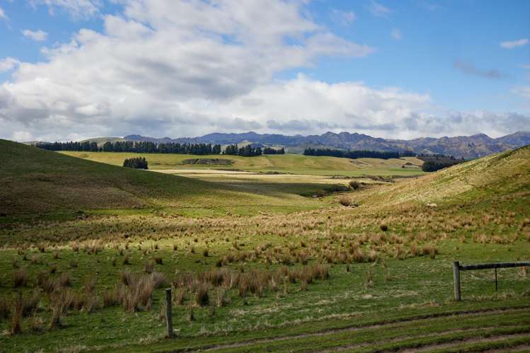 3717and3429 Inland Kaikoura Road Mt Lyford_15