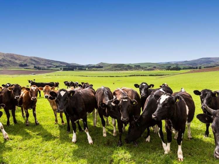 8727 Hyde-Middlemarch Road Hyde_16