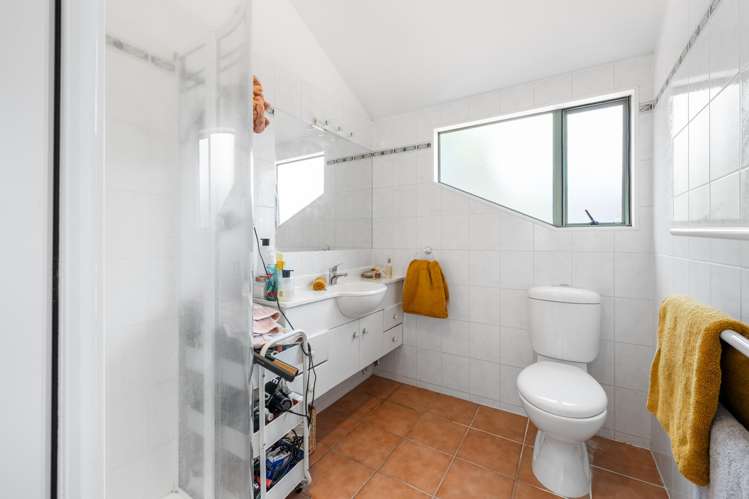 4A Waitomo Avenue Mount Eden_21