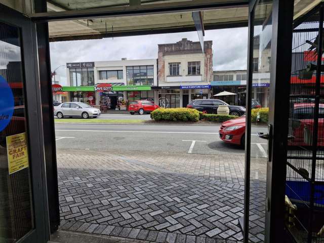 51 Alexandra Street Te Awamutu_4